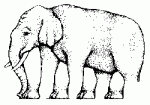 Невозможный слон